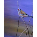 Goldfinch;16×16 inches;oil on canvas;€240