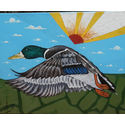 Mallard;oils on canvas;20×16 inches;for sale