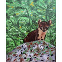 Pine Martin;oils on canvas;20×16 inches;for sale