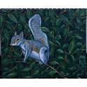 Grey Squirrel; Oils on canvas;20x 16 inches;€600.